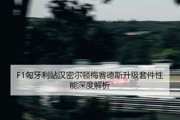 xiong-ya-li-zhan-han-mi-er-dun-mei-sai-de-si-sheng-ji-tao-jian-xing-neng-shen-du-jie-xi-2-926.jpg