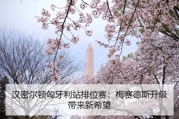 han-mi-er-dun-xiong-ya-li-zhan-pai-wei-sai-mei-sai-de-si-sheng-ji-dai-lai-xin-xi-wang-2-757.jpg